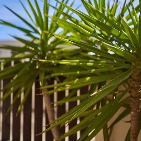 Holiday home Sotillo E-6-9 San Jose (Almeria)
